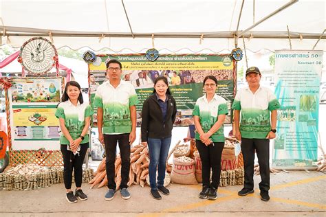 cassava enterprises.